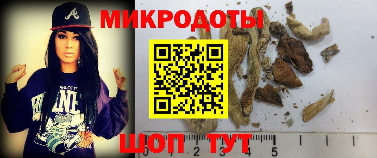 Армавир  Галлюциногенные грибы Psilocybe  где найти наркотики  Вход с VPN 