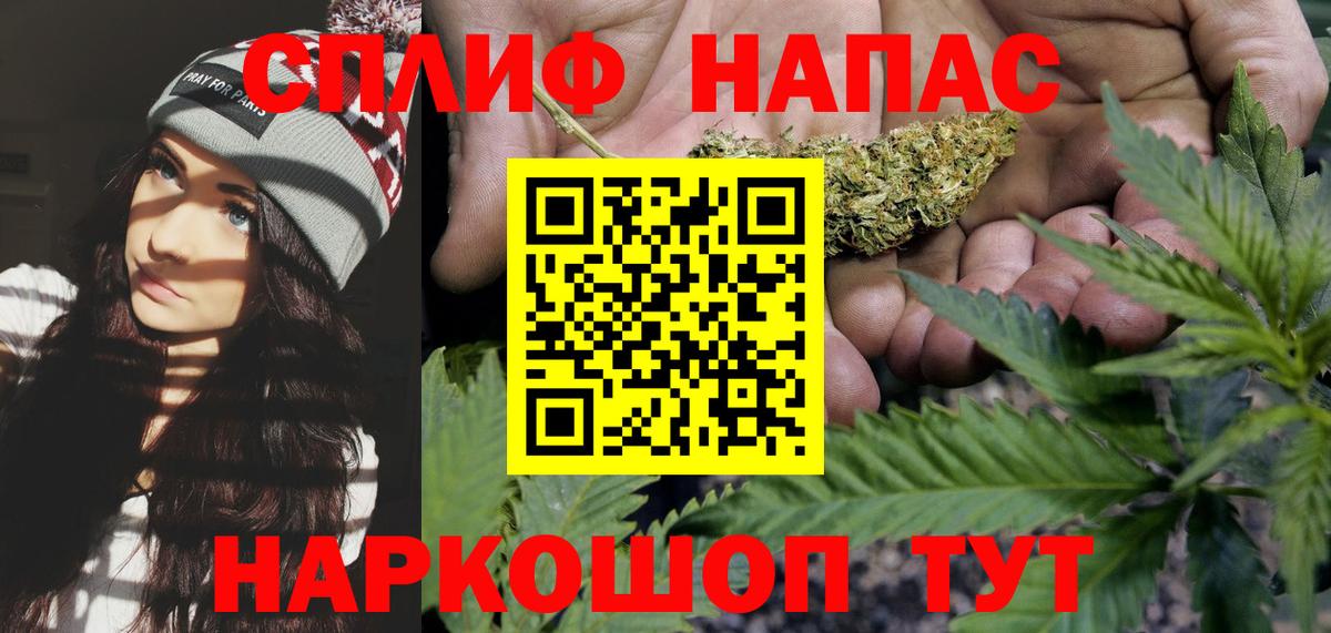 Конопля VHQ  Вход с VPN  Армавир  Бошки марихуана конопля  Каннабис сатива  Канабис White Widow 